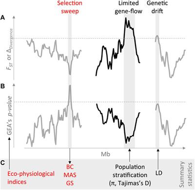 Genome–Environment Associations, an Innovative Tool for Studying Heritable Evolutionary Adaptation in Orphan Crops and Wild Relatives